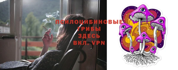Альфа ПВП Нягань