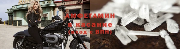 шишки Тавда