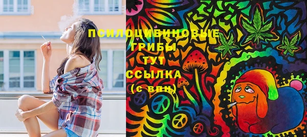 дмт Осташков