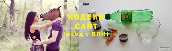 дмт Осташков