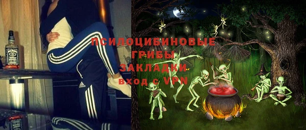 дмт Осташков