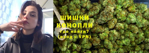 МДПВ Осинники