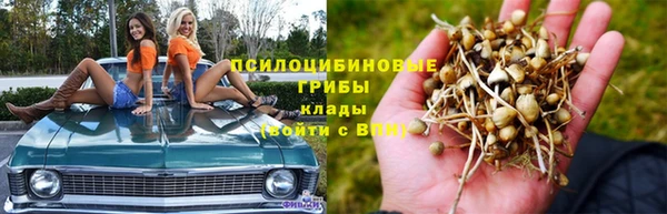 Альфа ПВП Нягань