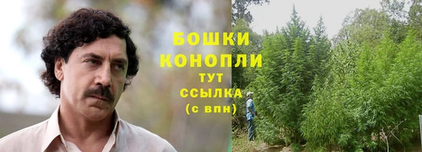 дмт Осташков