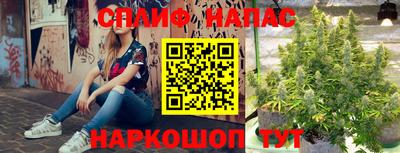 хмурый Краснодар