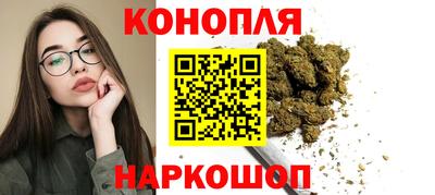 сатива Кинель