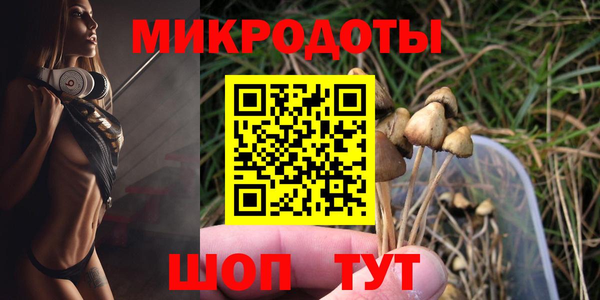 Псилоцибиновые грибы MAGIC MUSHROOMS  Галлюциногенные грибы Psilocybe  Вход с VPN  Симферополь 
