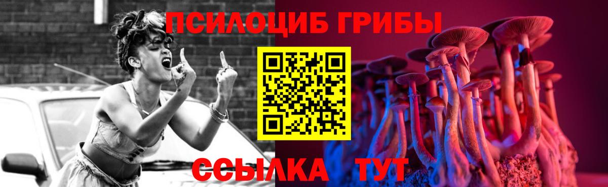 Псилоцибиновые грибы Psilocybe Симферополь