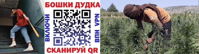 Каннабис SATIVA & INDICA Симферополь